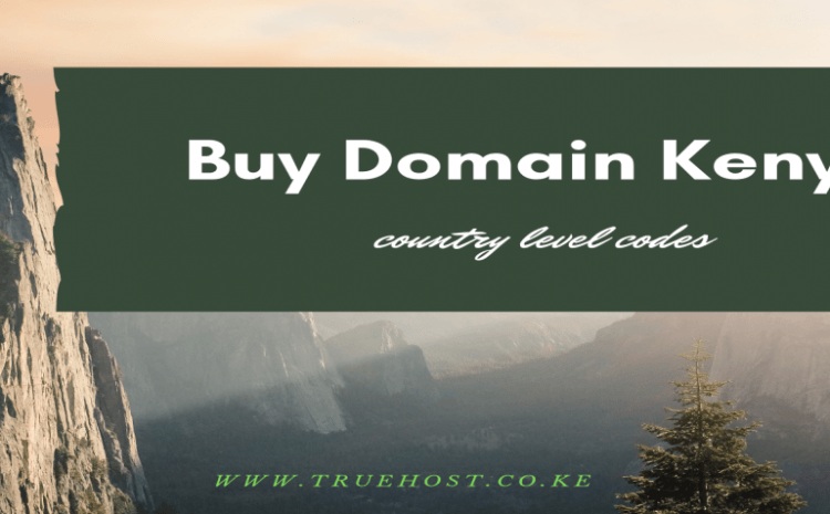 buy a domain name in Kenya