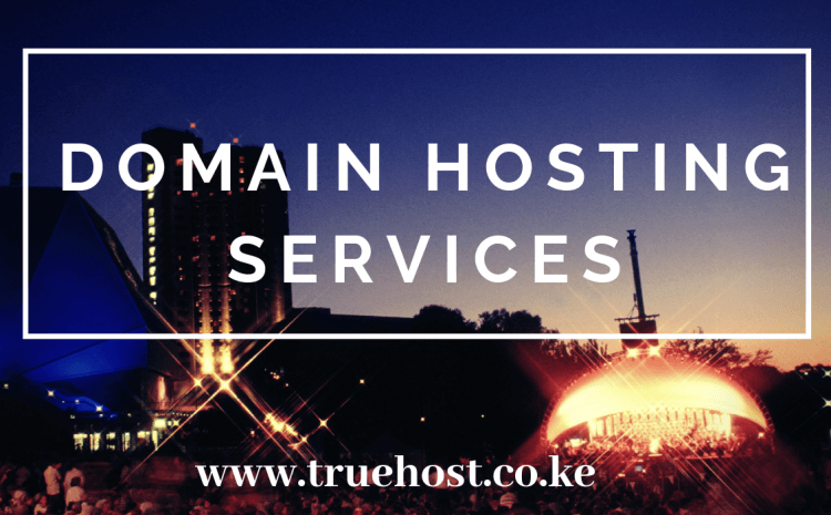 Domain hosting services