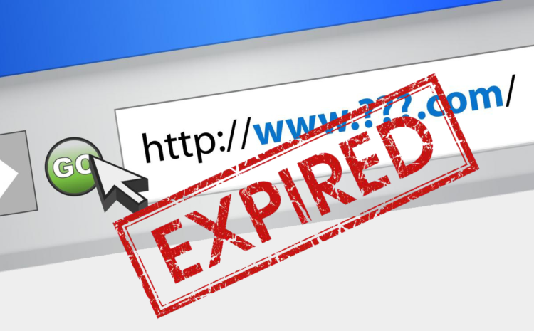 Expired Domains in Kenya