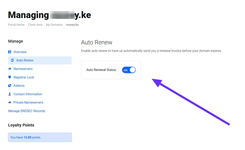 Why You Should Enable Automatic Domain Renewal for Your Domain 2 enabling automatic domain renewal in Truehost
