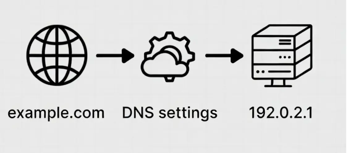 an image of DNS setting