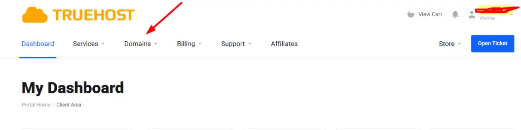 a screenshot of domain section in clients areas
