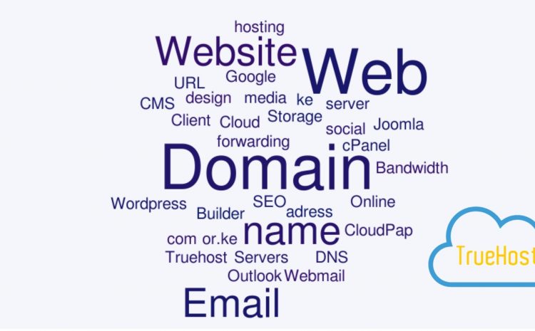 Domain Registration and DNS Management in Kenya