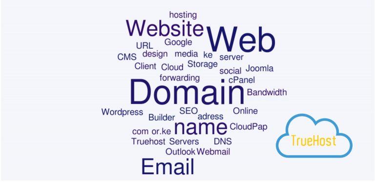 Domain Registration and DNS Management in Kenya