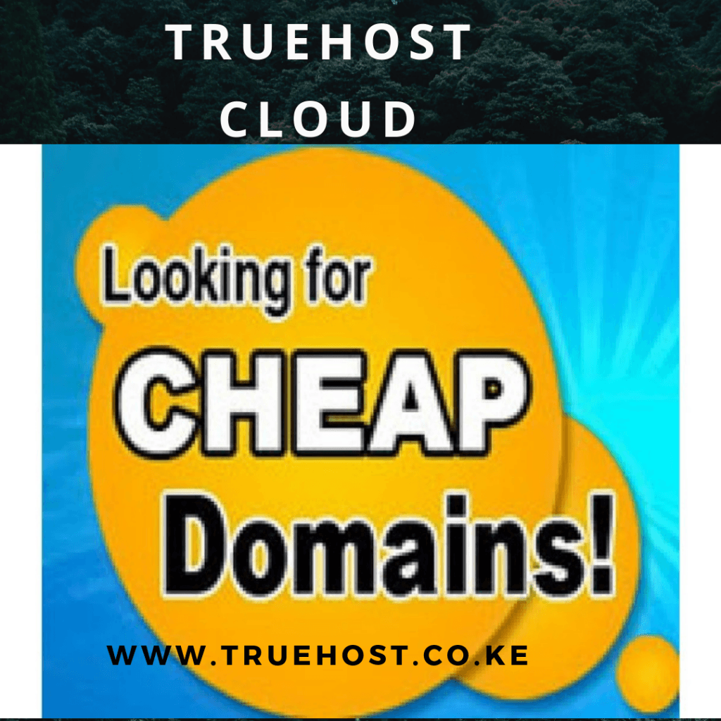 Cheapest domain registration in kenya best prices 2025 