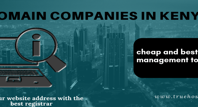 Domain companies in Kenya 2