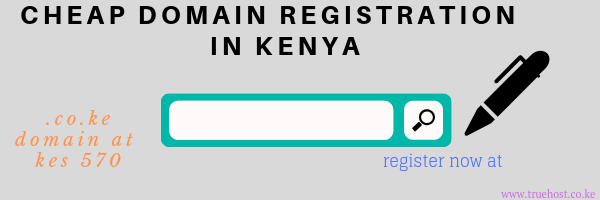Domain Registration Companies in Kenya