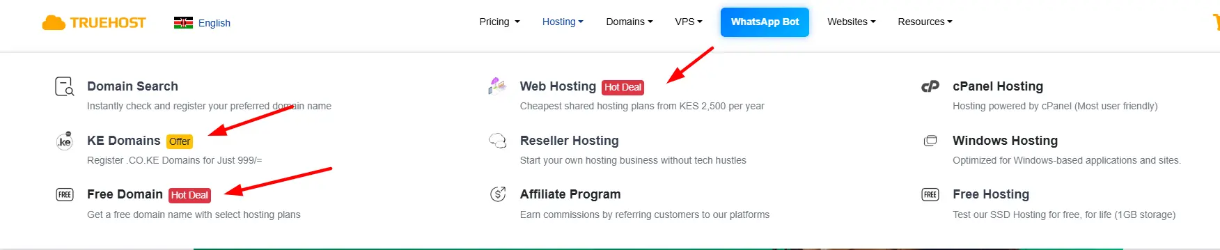 a screenshot of promotions and deals available in truehost