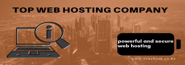 Top web hosting company