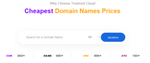Domain name search on Truehost