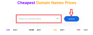2-buy-domain-kenya