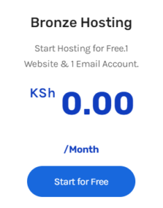 cost to host a website in Kenya