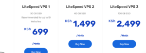 cost to host a website on a VPS in Kenya
