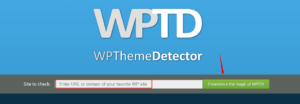 WpThemeDetector