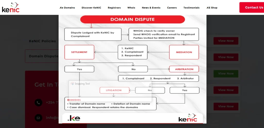Domain disputes
