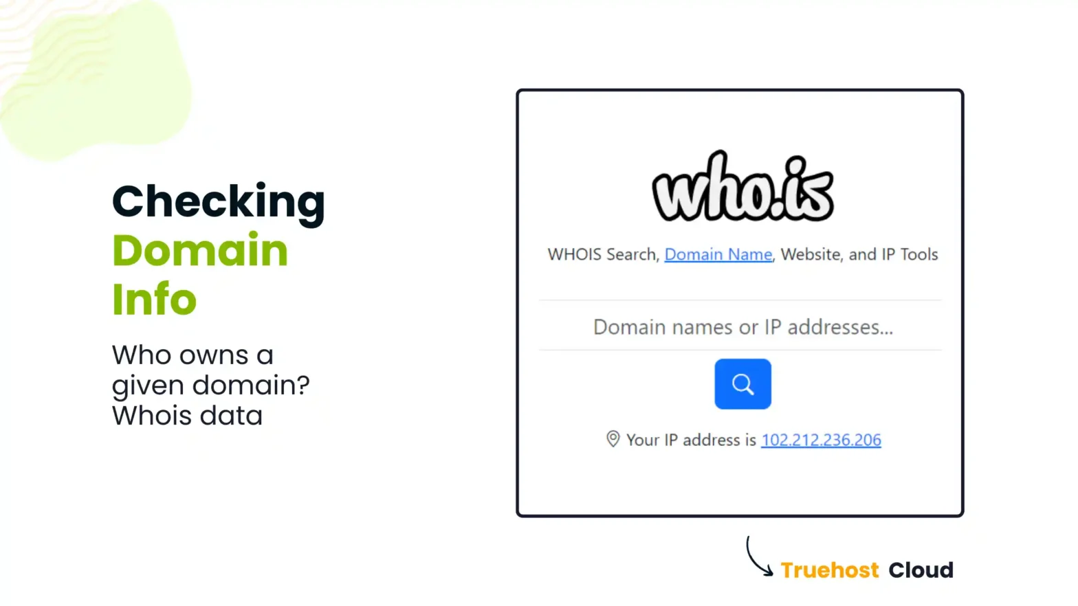 How to check domain registration info