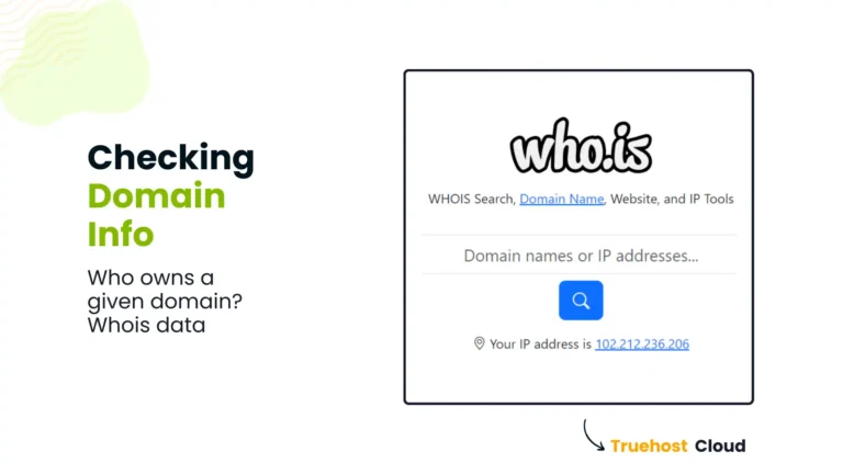 How to check domain registration info