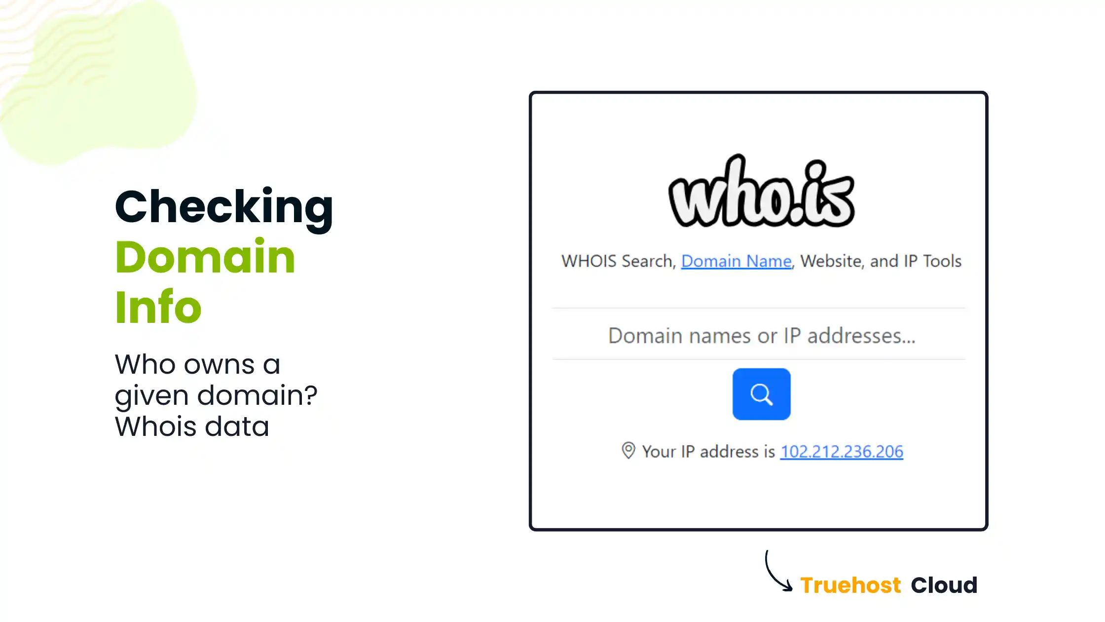 How to check domain registration info