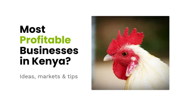Most Profitable Businesses in Kenya?