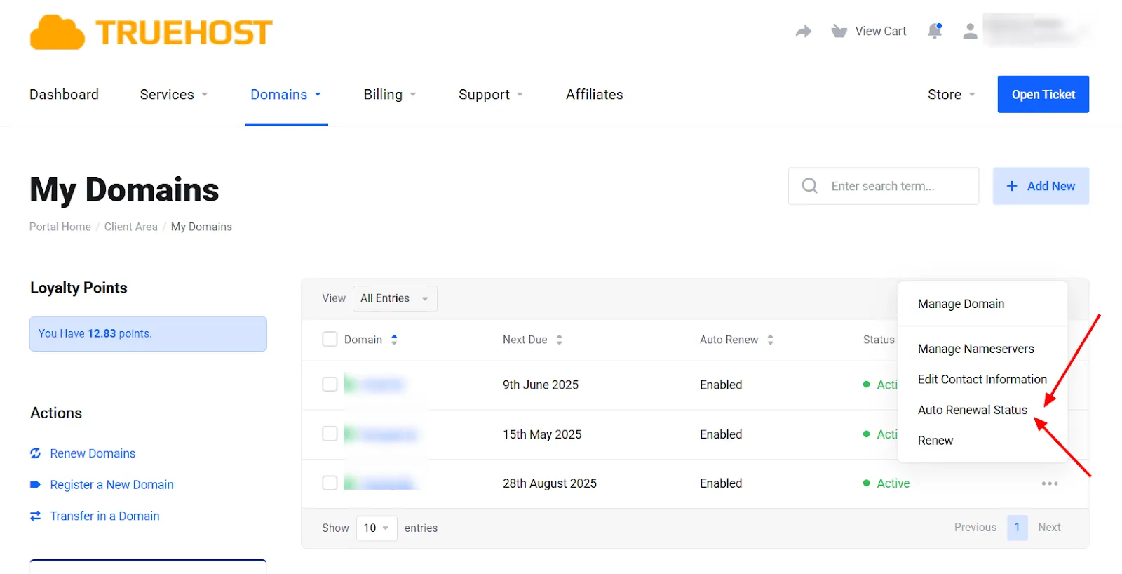 Why You Should Enable Automatic Domain Renewal for Your Domain 1 Automatic Domain Renewal Truehost