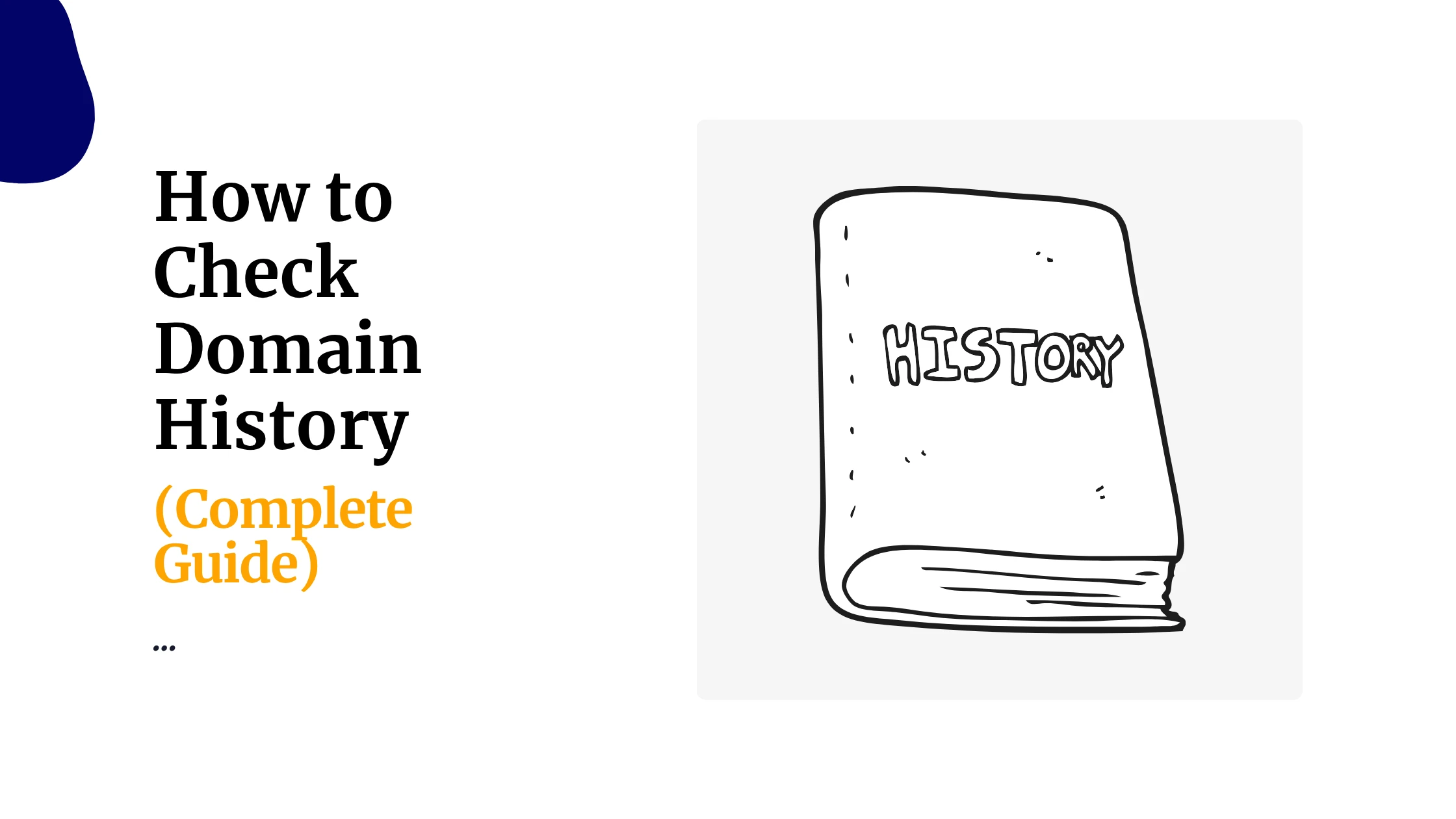 How to Check Domain History