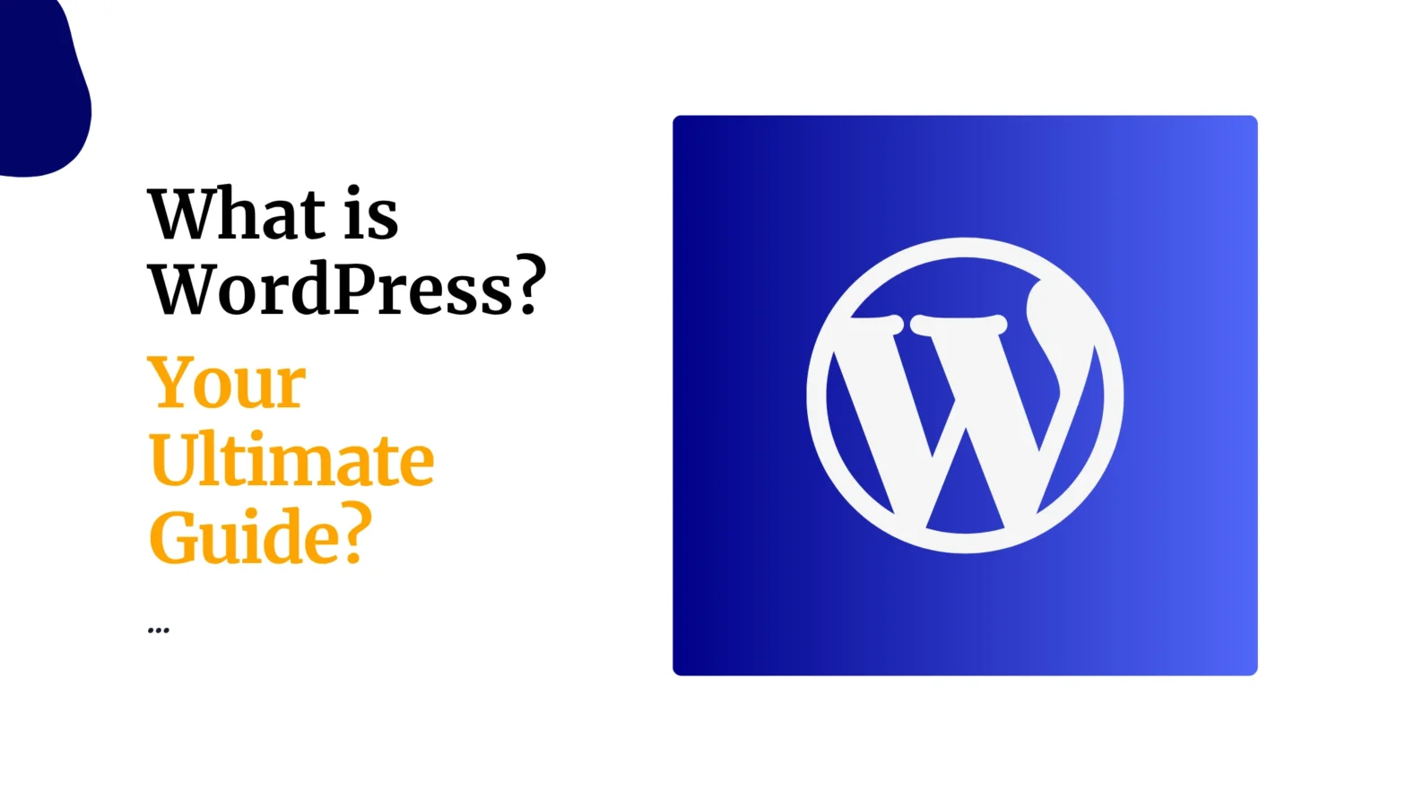 What is WordPress