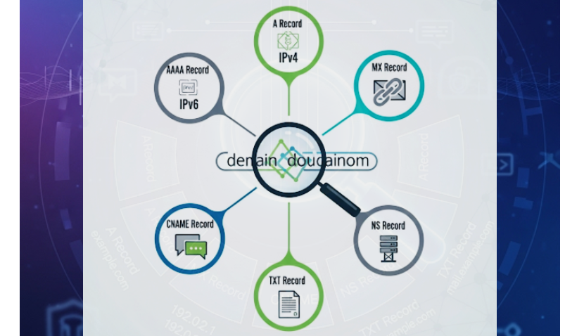 How to Check DNS Records of a Domain