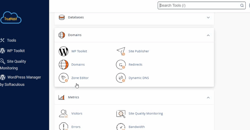 Truehost Kenya’s DNS Management Tools