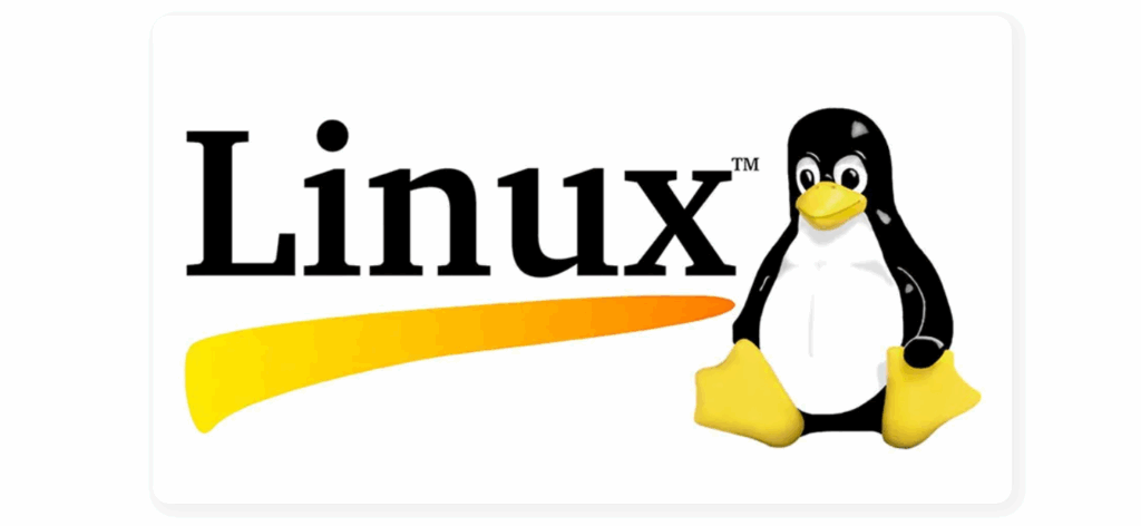 own web hosting server