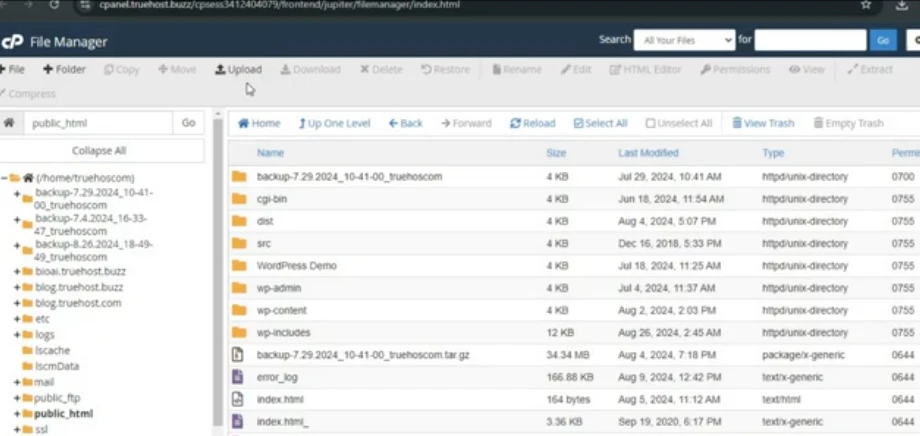 how to host a wordpress website on cpanel