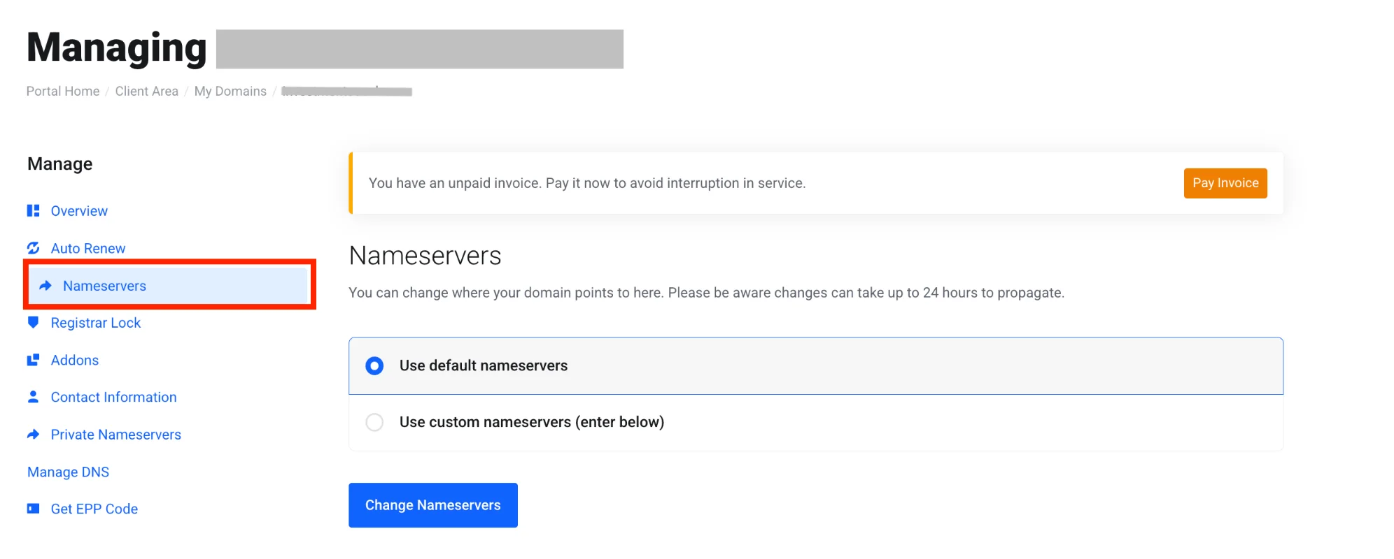 Nameservers section on Truehost client Area