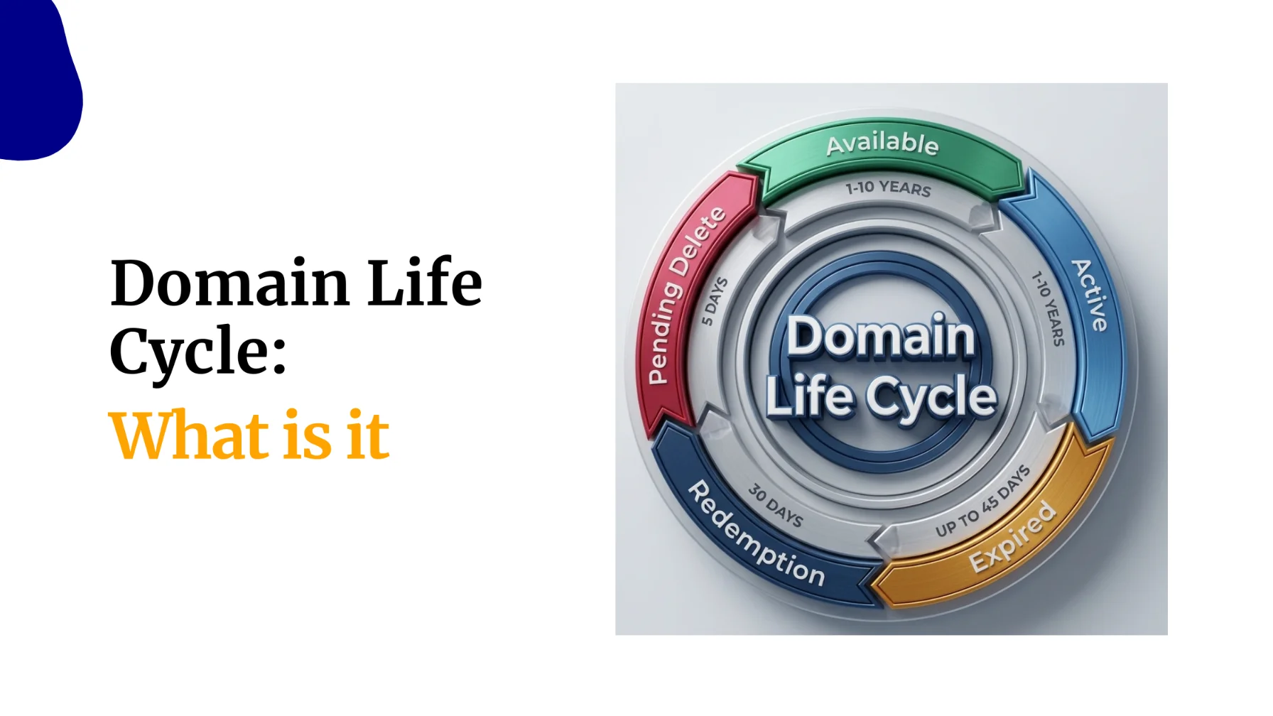 Domain Life Cycle: What is it?