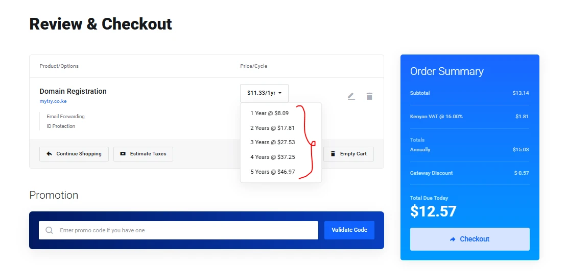 Domain registration period