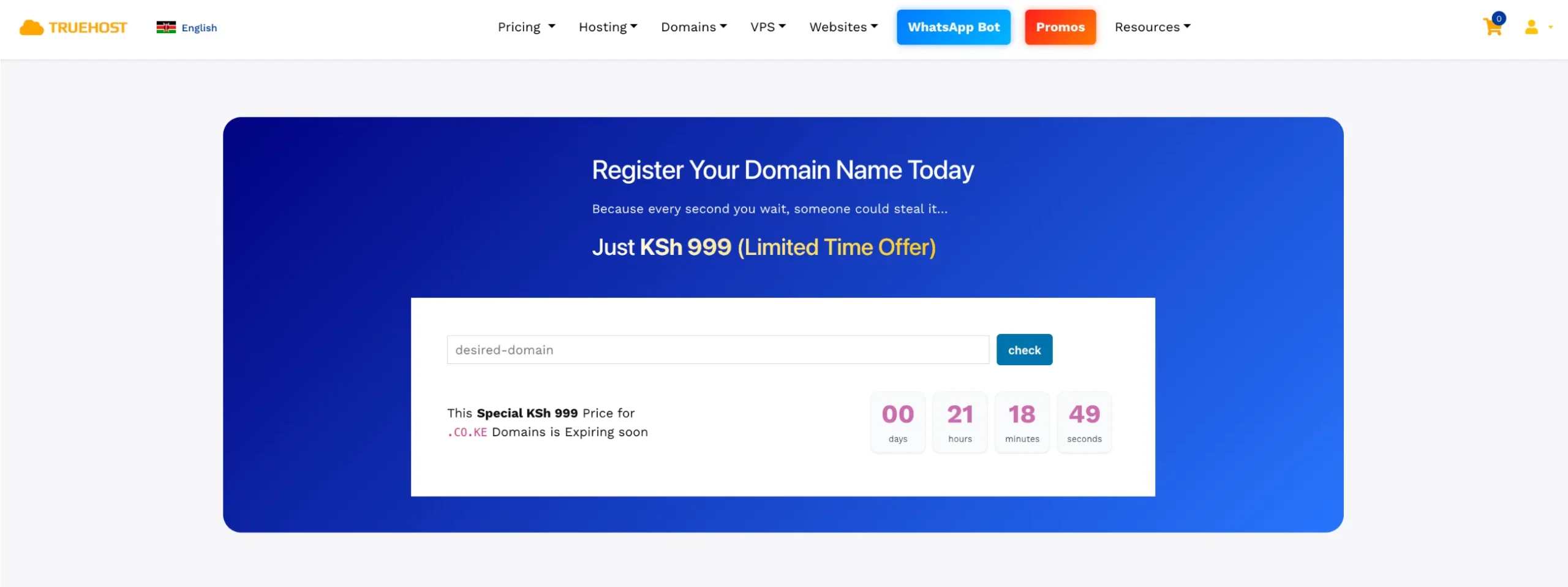health care domain names - Truehost domain search tool