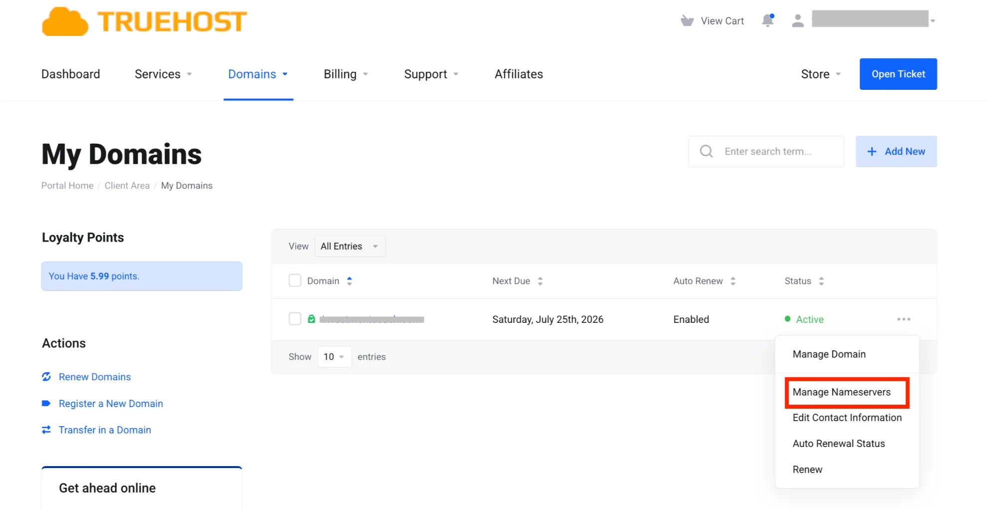 Manage Nameservers on Truehost
