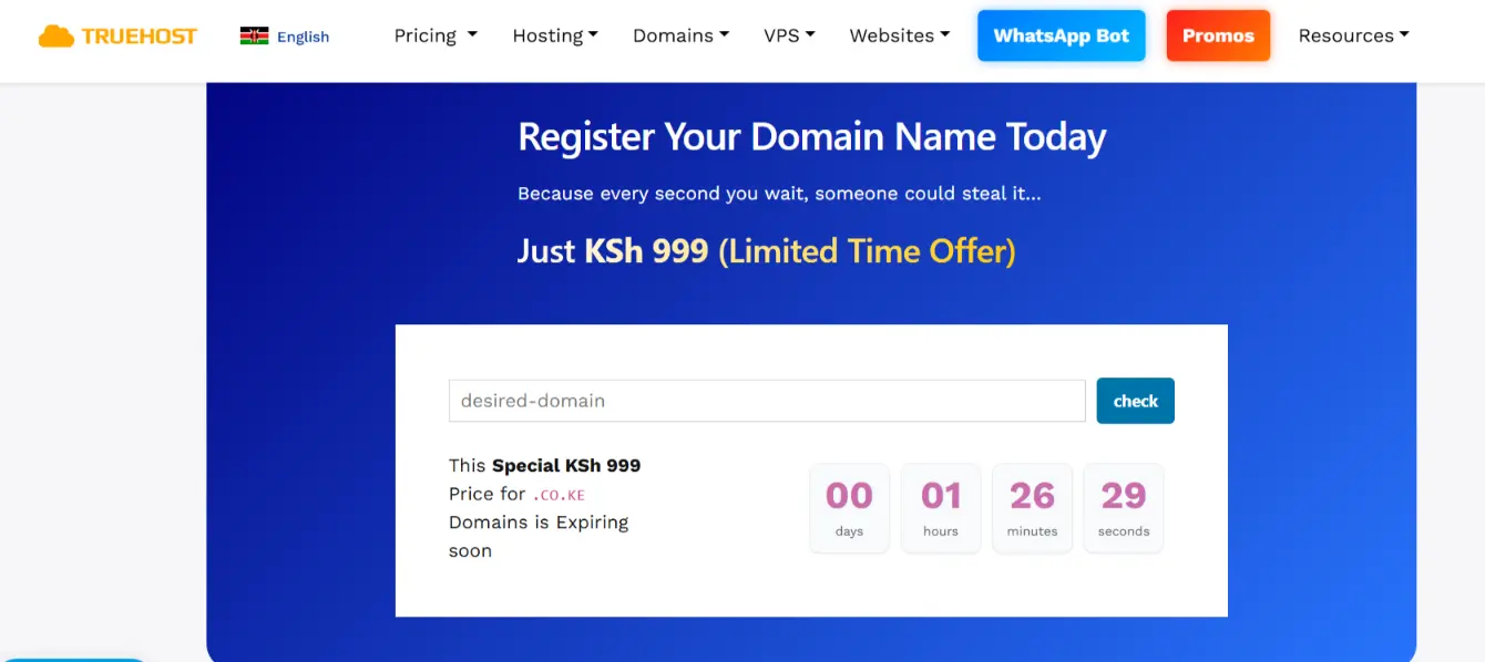 a screenshot of Truehost domain register page