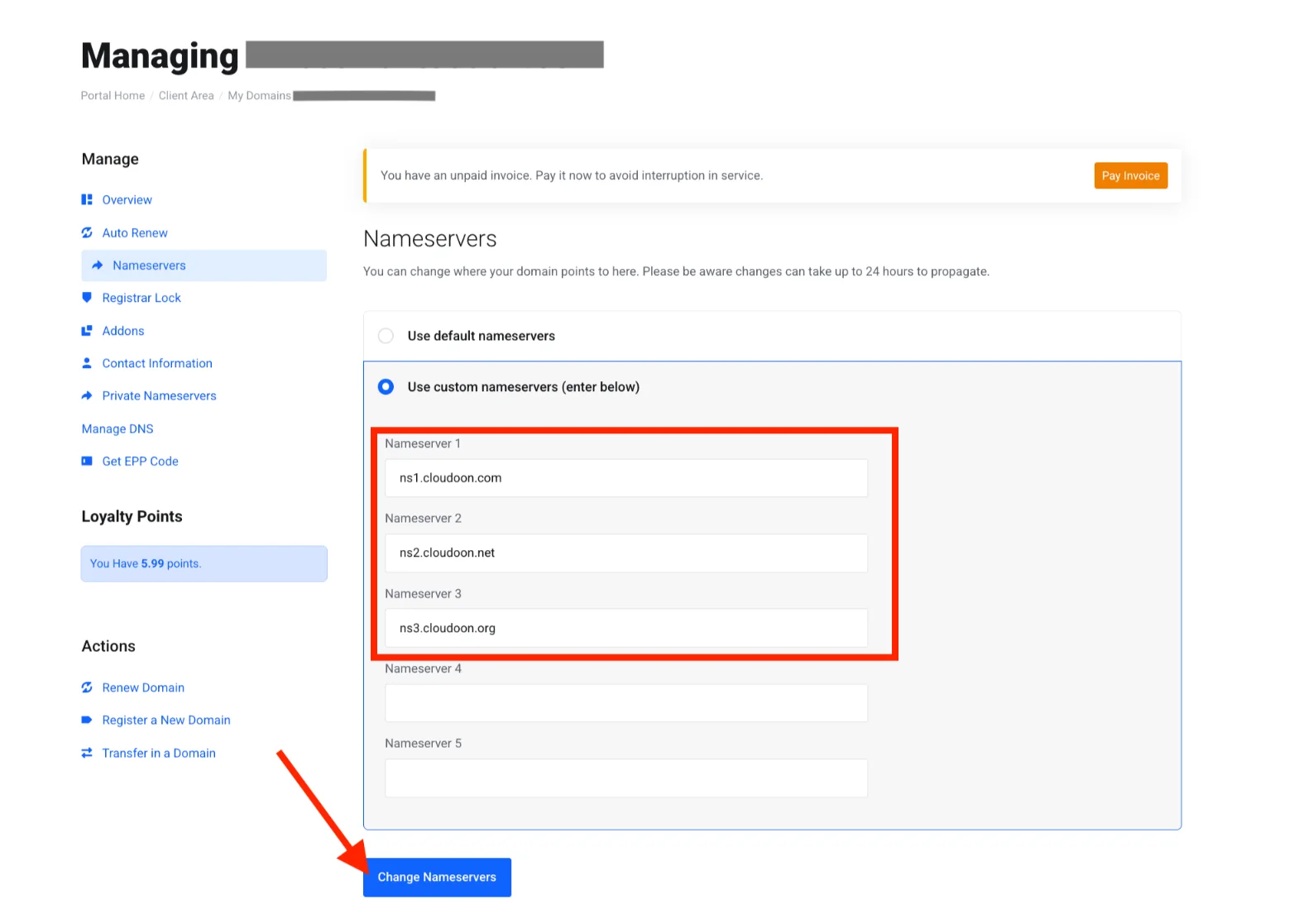 Truehost Client Area - Nameservers changing