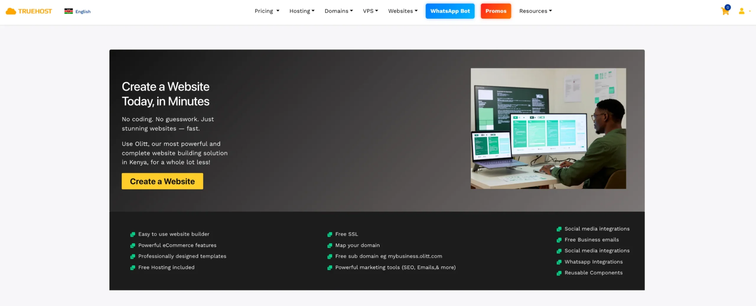 Truehost Website builder page