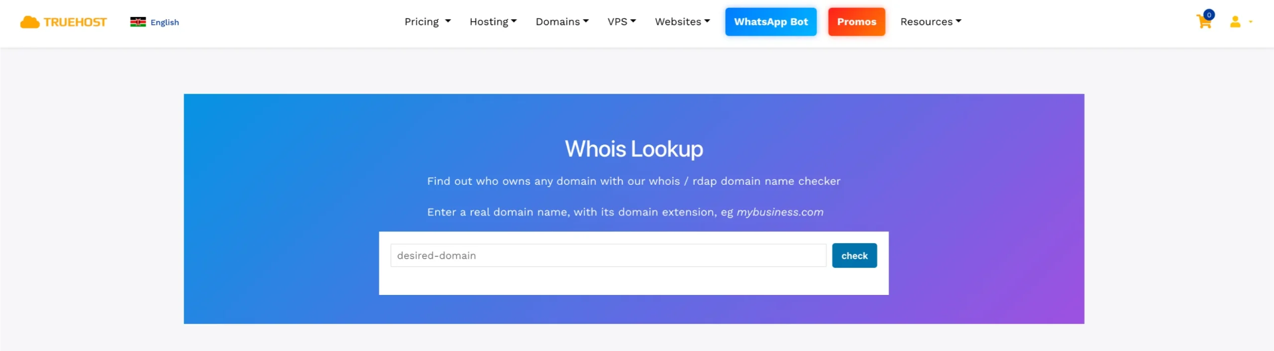 Domain name influence on SEO - Truehost Whois Lookup