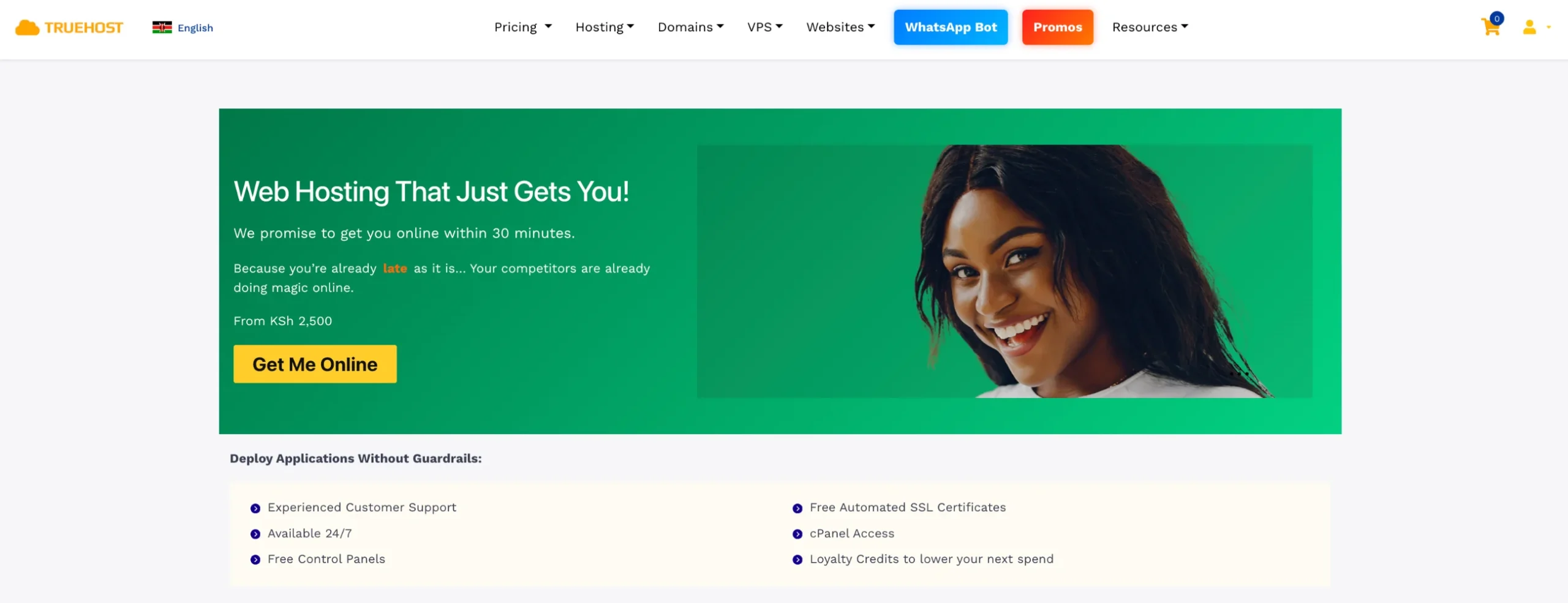 Truehost web hosting page