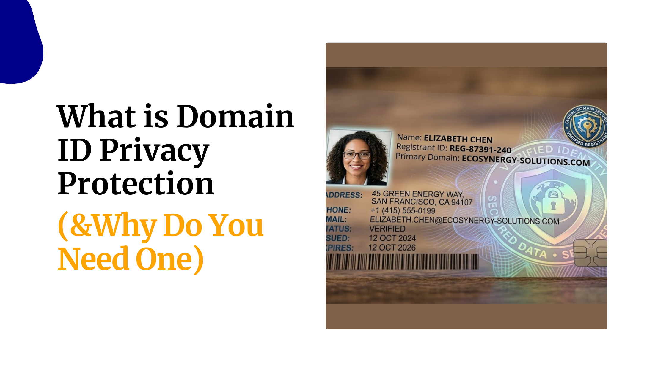 What is Domain ID Privacy Protection (& Do You&hellip;