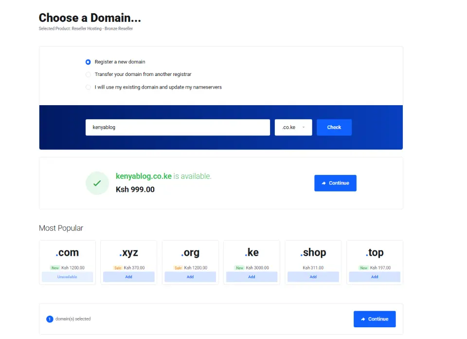 a screenshot of choosing domain section