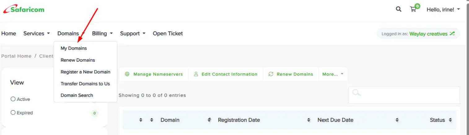 a screenshot of safaricom domains