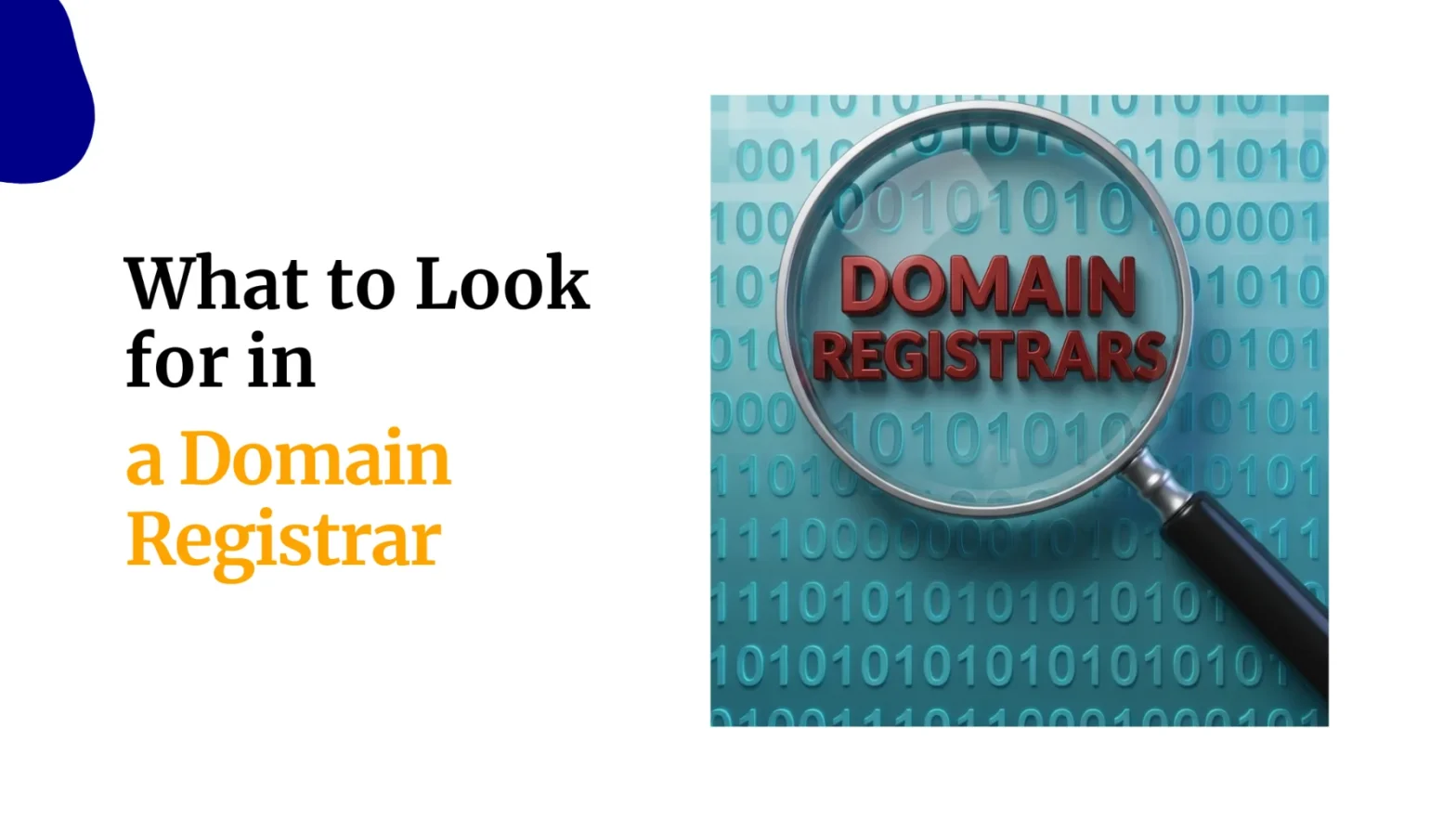 what should you look for in a domain registrar