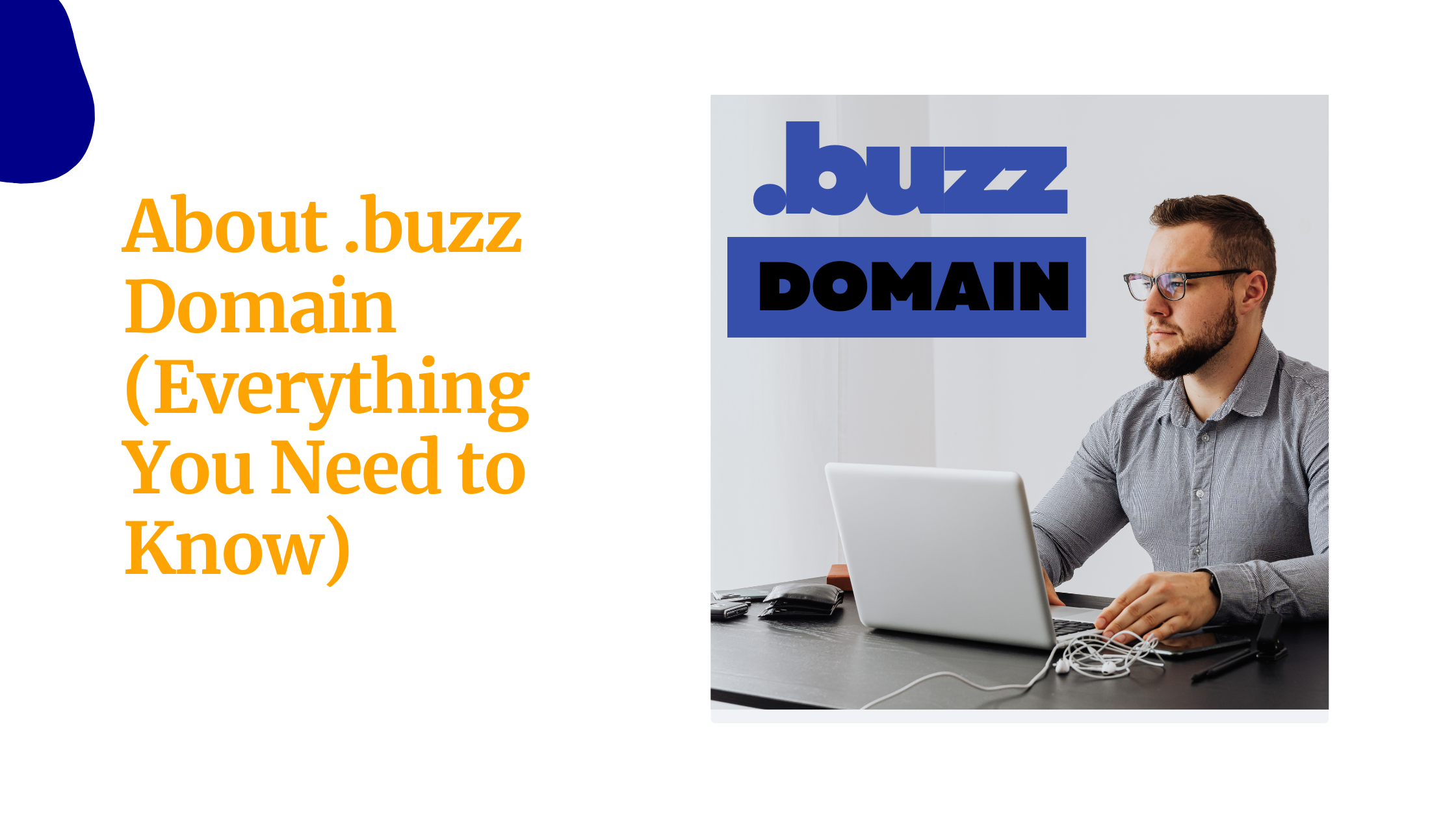 About .buzz Domain (Everything You Need to Know)
