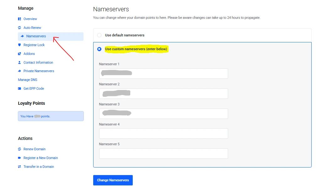 Add custom nameservers