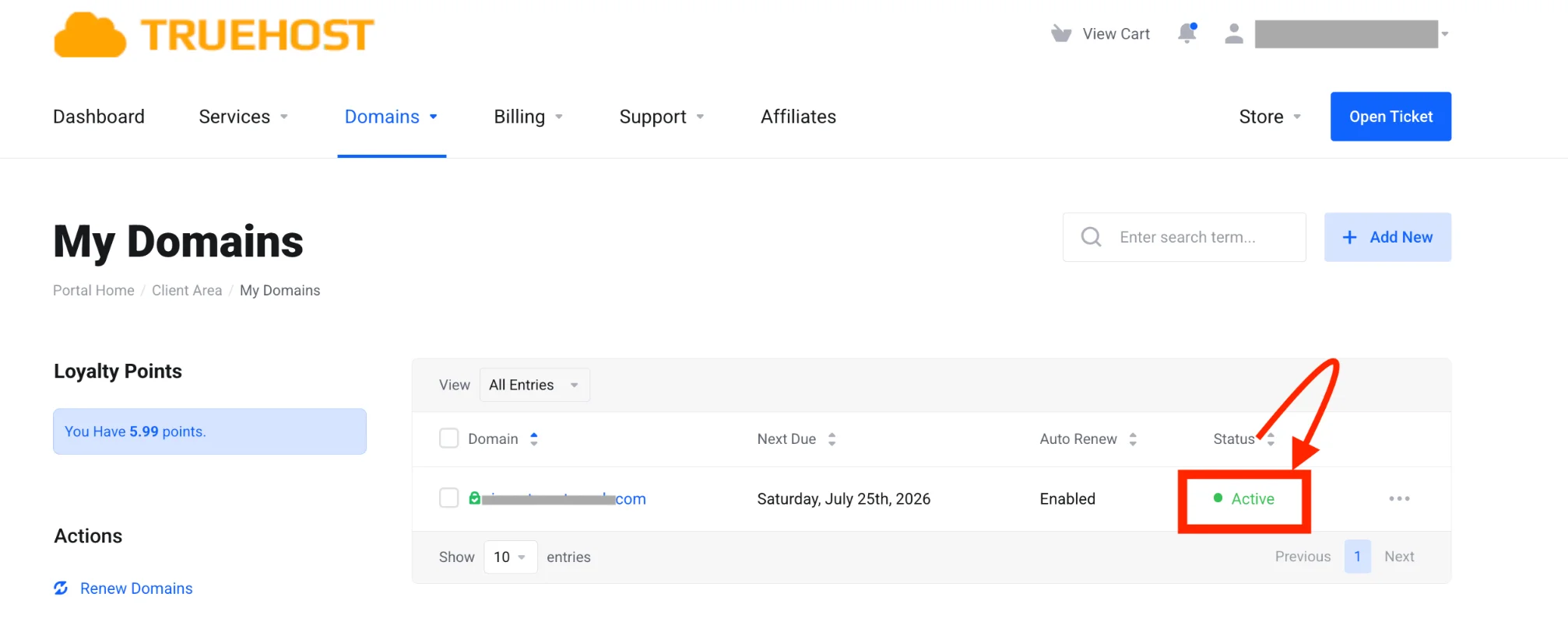 Truehost client area domain status