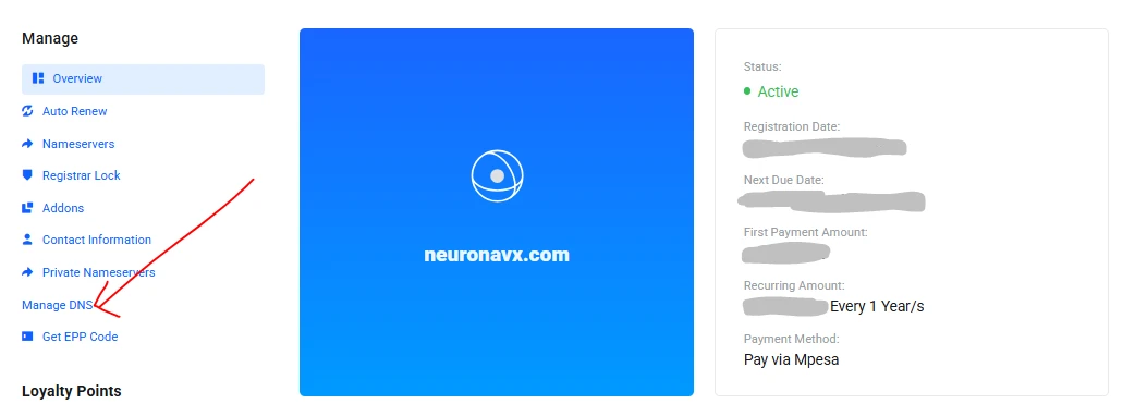 Manage DNS on client area