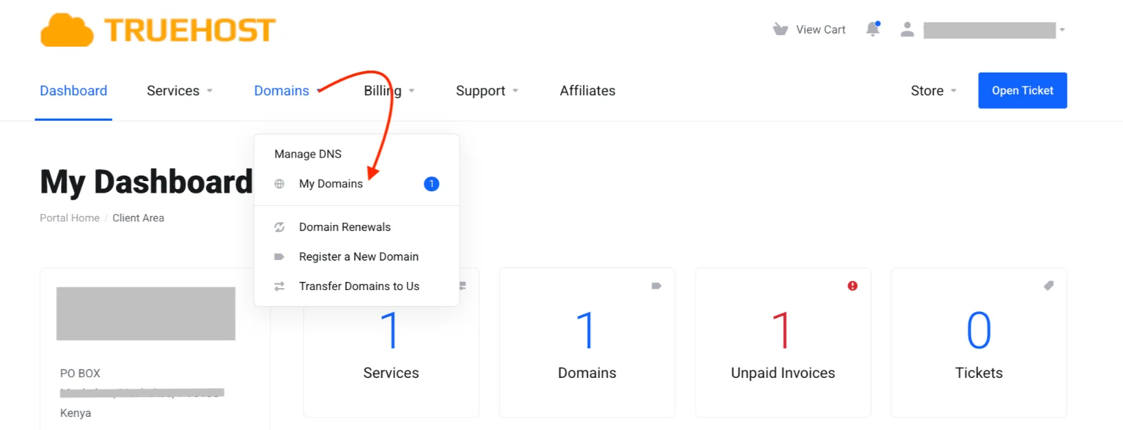Truehost client area - my domains