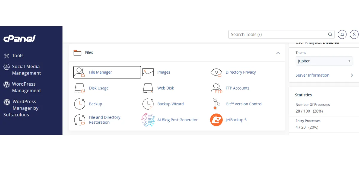 Website Files on cPanel